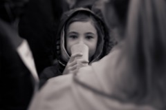 Broschtkriibslaf-ALGSO-2025-43