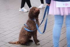 Broschtkriibslaf-ALGSO-2025-81