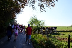 03.10.2026-Broschtkriibslaf-ALGSO-119