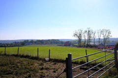 03.10.2026-Broschtkriibslaf-ALGSO-120