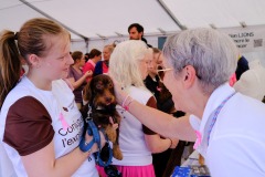 03.10.2026-Broschtkriibslaf-ALGSO-145