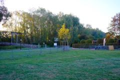 03.10.2026-Broschtkriibslaf-ALGSO-4