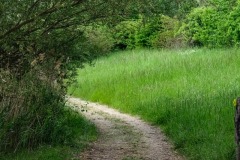 Journee-de-Randonnee-CMCM-87