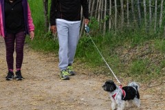 Journee-de-Randonnee-CMCM-91