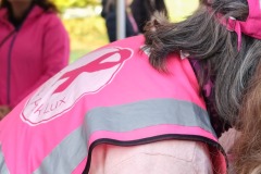 Race-for-the-Cure-ALGSO-2025-10