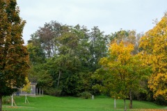 Race-for-the-Cure-ALGSO-2025-79