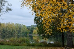 Race-for-the-Cure-ALGSO-2025-80