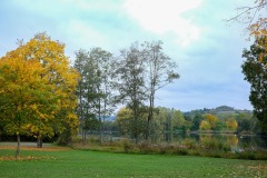 Race-for-the-Cure-ALGSO-2025-81