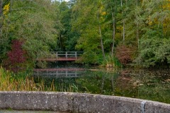 Race-for-the-Cure-ALGSO-2025-82