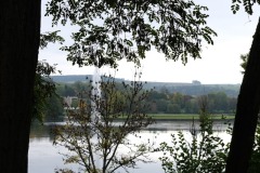 Race-for-the-Cure-ALGSO-2025-83